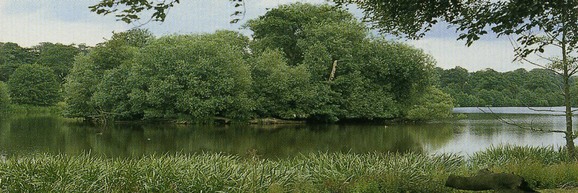 Bretton parkland lake on Barnsley border