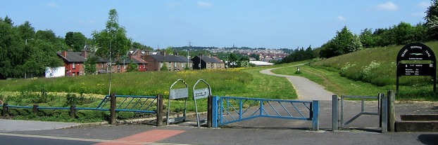 Grassland managed for wildflowers with mown areas next to TPT path 