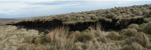 Blanket Bog showing eroding peat