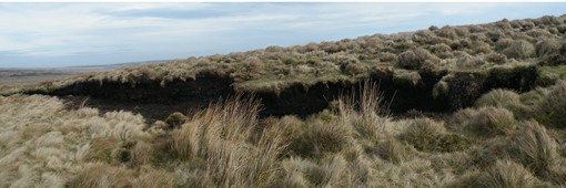 Blanket Bod showing eroding peat