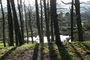 Keepers pond, Stainborough Parkland