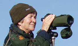 Using scope for bird recording