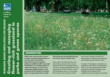 RSPB Advice Note on creating and managing flower-rich grass in urban green spaces