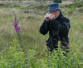 Using hand lens for wildflower recording