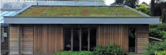 Living sedum roof at Wentworth Castle