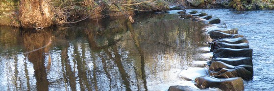 Stepping stones over River Don near Finkle Lane