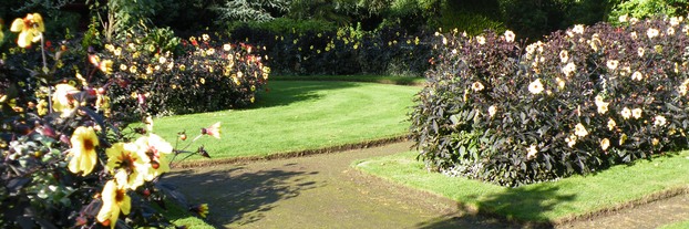 Flowering borders at Wentworth Castle, Stainborough