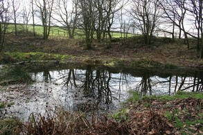 Pond at Royd Moor reservoir