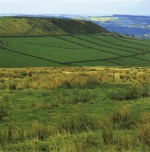 Image of Rush Pasture priority habitat in foreground
