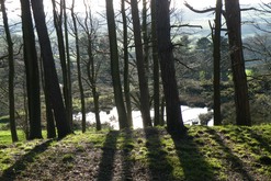 Keepers Pond in Stainborough Park