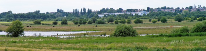 Adwick washlands