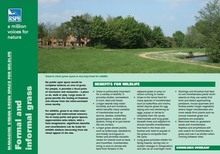 RSPB advice note on managing amenity grassland