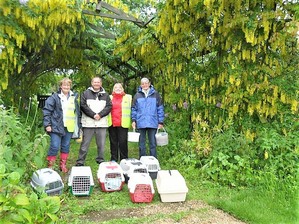 Visiting garden to release hedgehogs