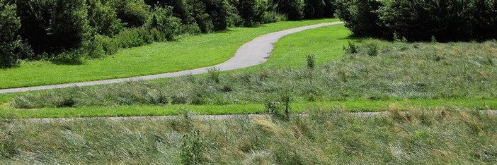 Differently managed grass in amenity grassland