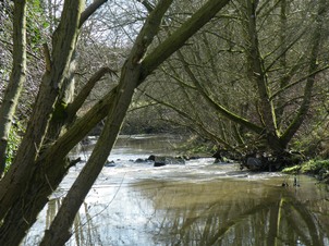 River Dearne in Barnsley