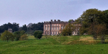 Veteran hawthorns in front of Wentworth Castle, Stainborough