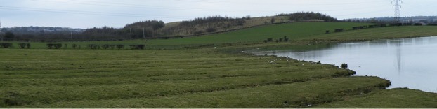 Ditches in grazing marsh at Broomhill Flash