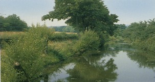 Canal standing water