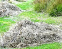 Mowings being collected for removal