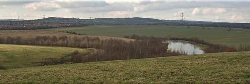 Athersley memorial pond