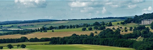 View of parkland with veteran trees at Wentworth Castle