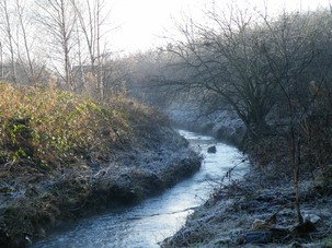 Knoll Beck near Old Moor