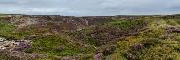 Upland heathland on Snailsden Moss