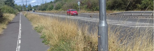 Roadside grass verges near RSPB OLd Moor