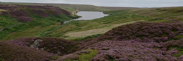 Snailsden Moss above reservoir